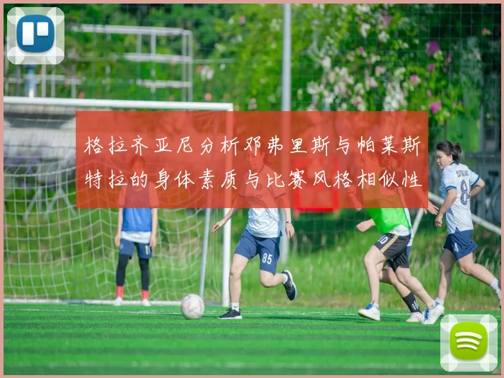 格拉齐亚尼分析邓弗里斯与帕莱斯特拉的身体素质与比赛风格相似性